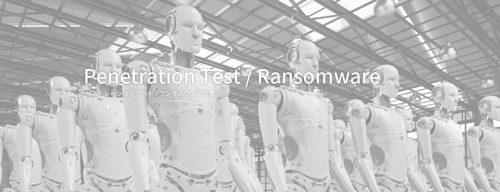 ITディレクトのセキュリティテスト　ペネトレーションテスト / ランサムウェア対策